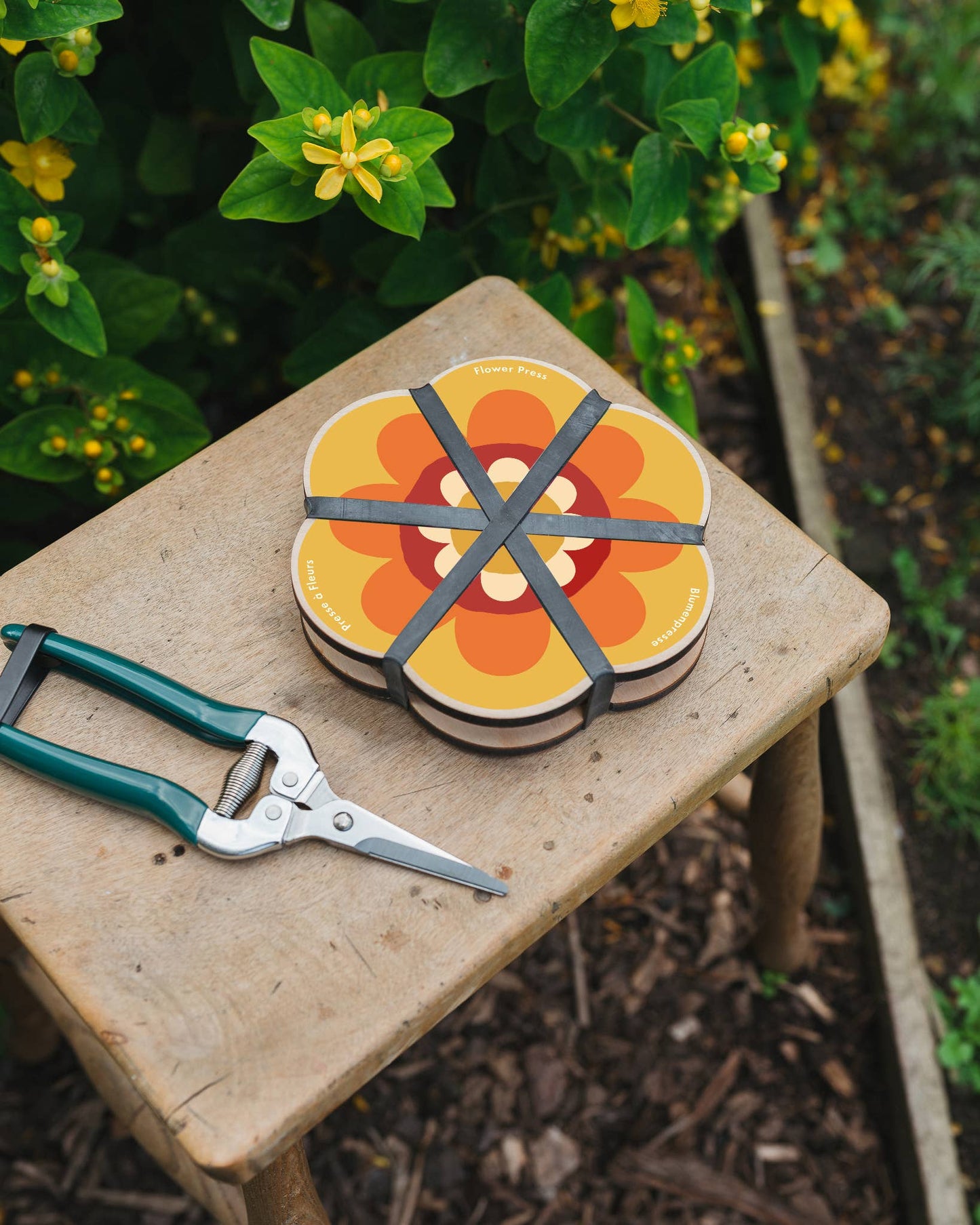 Flower Shaped Press - Orange & Yellow