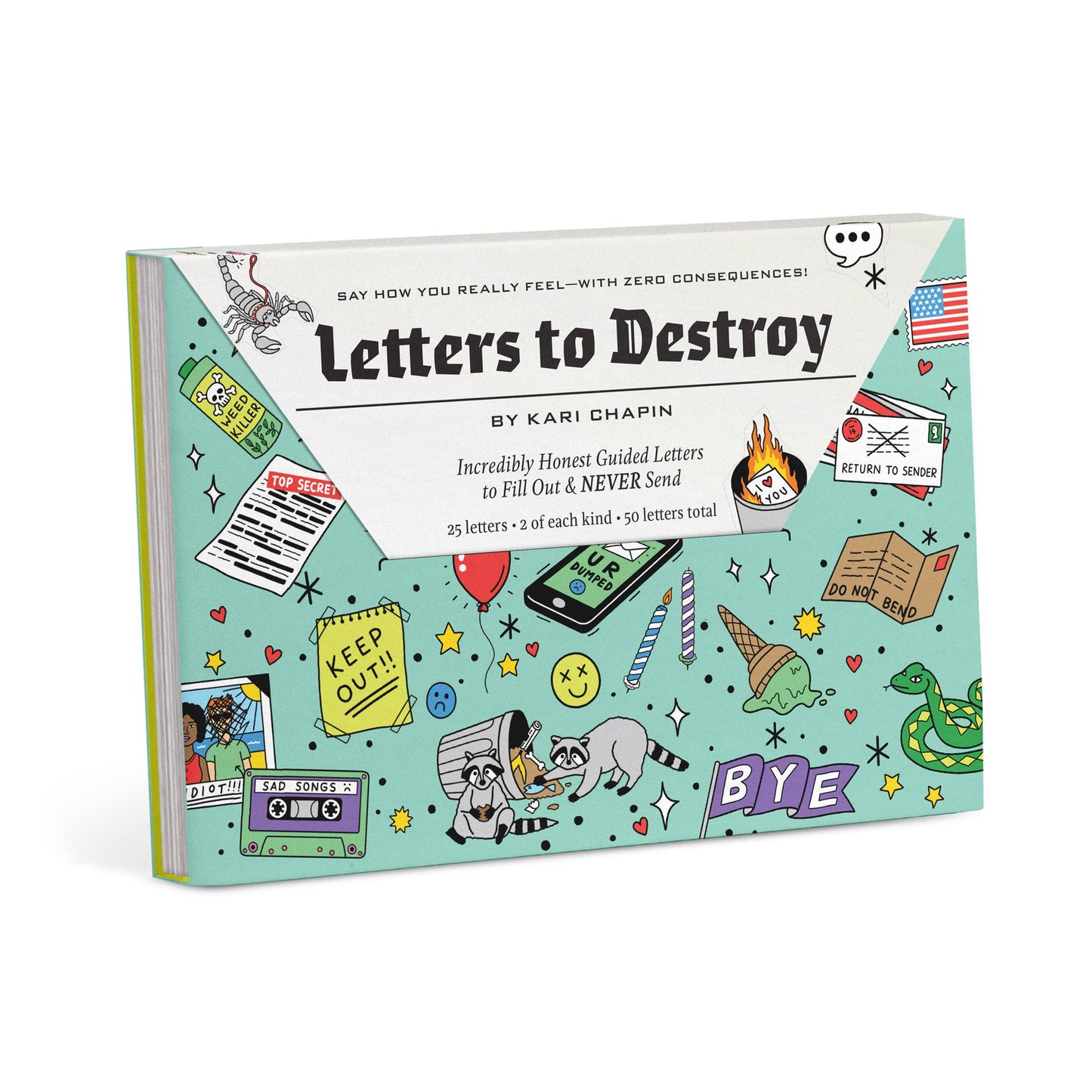 Knock Knock Letters to Destroy Journal (Diary or Journal)