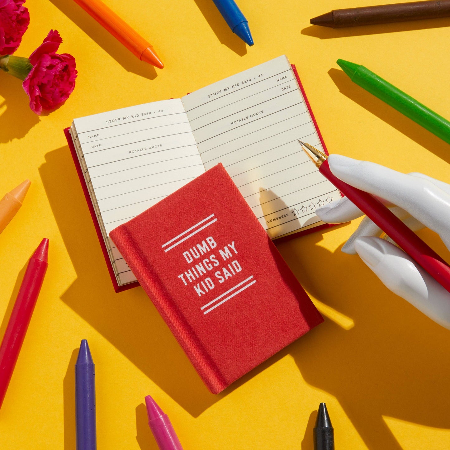 Dumb Things My Kid Said Tiny Diary (Diary or Journal)