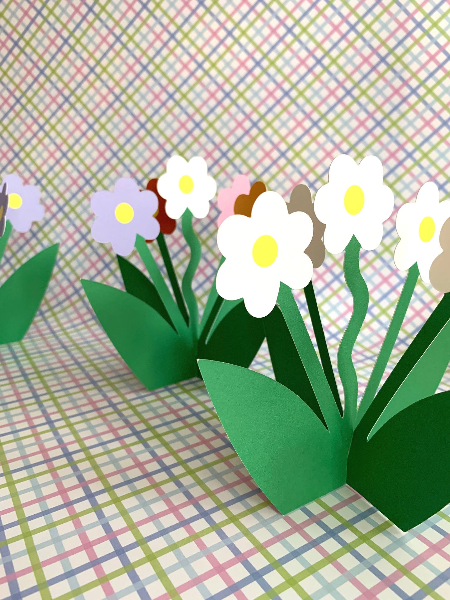 Standing 3D Daisy Floral Bloom Everyday Greeting Card