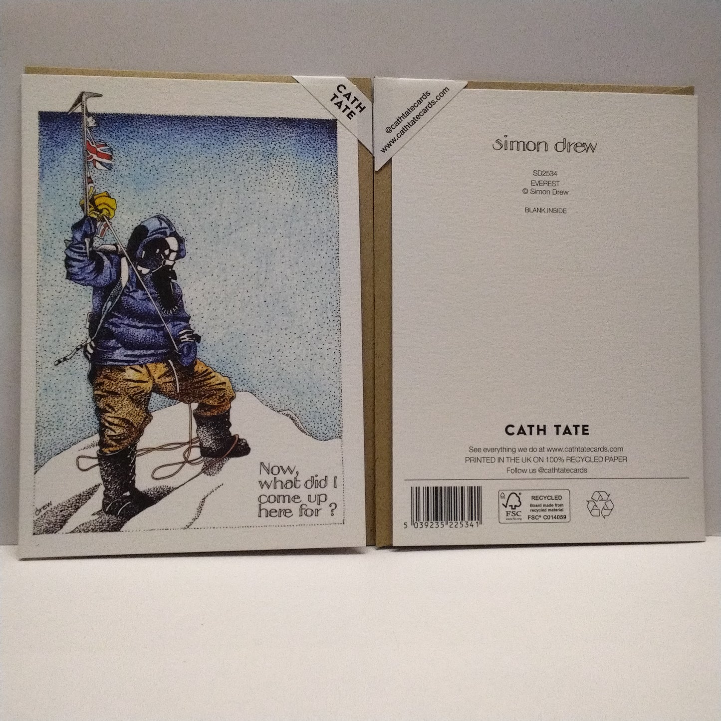 Mount Everest - Now What Did I Climb Up Here For? Greeting Card