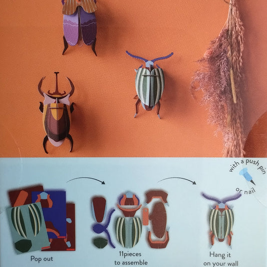 Rainbow Leaf Beetle Wall Art