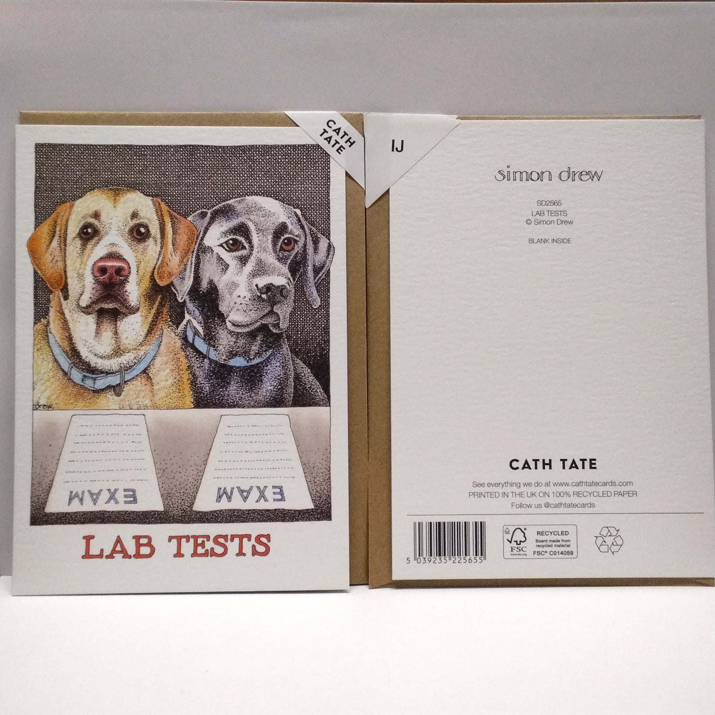 Lab-rador Tests - Greeting Card