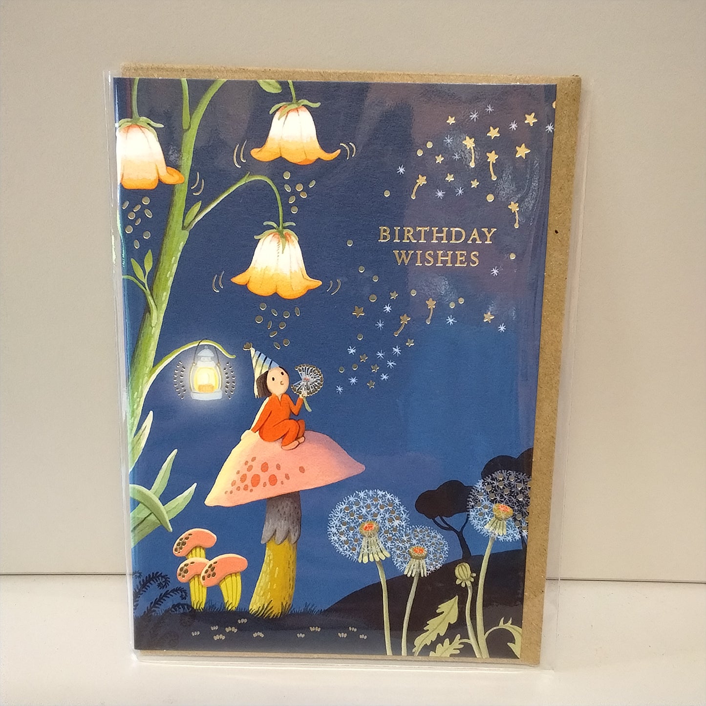 Dandelion Night Greeting Card
