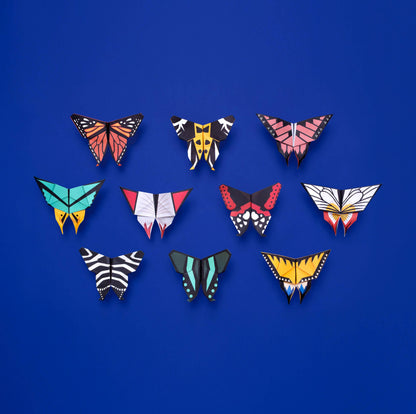 Origami Butterflies - Create and Display Kit