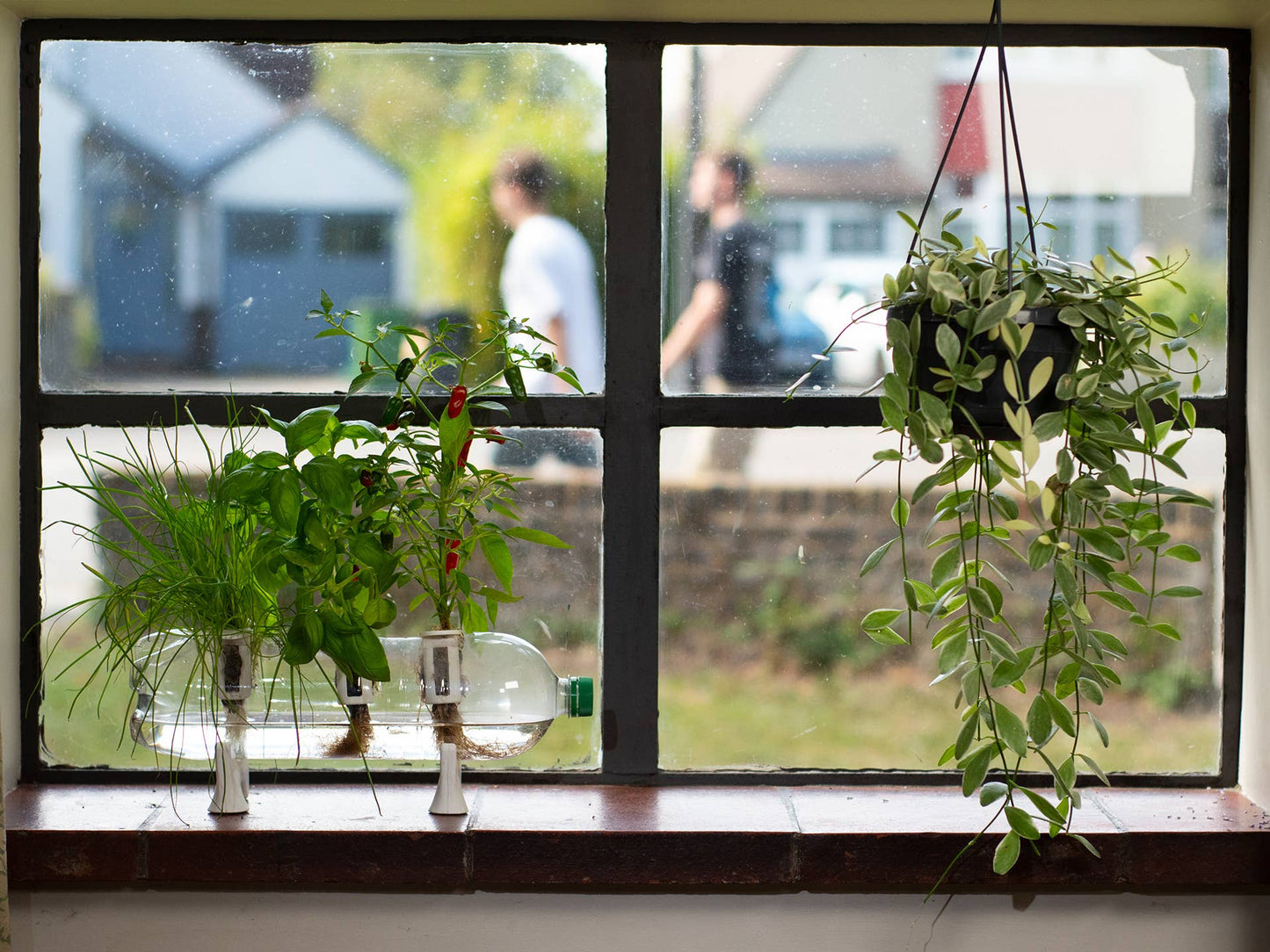 The Bottle Farm - Hydroponic Garden Grow Herbs & Vegetables