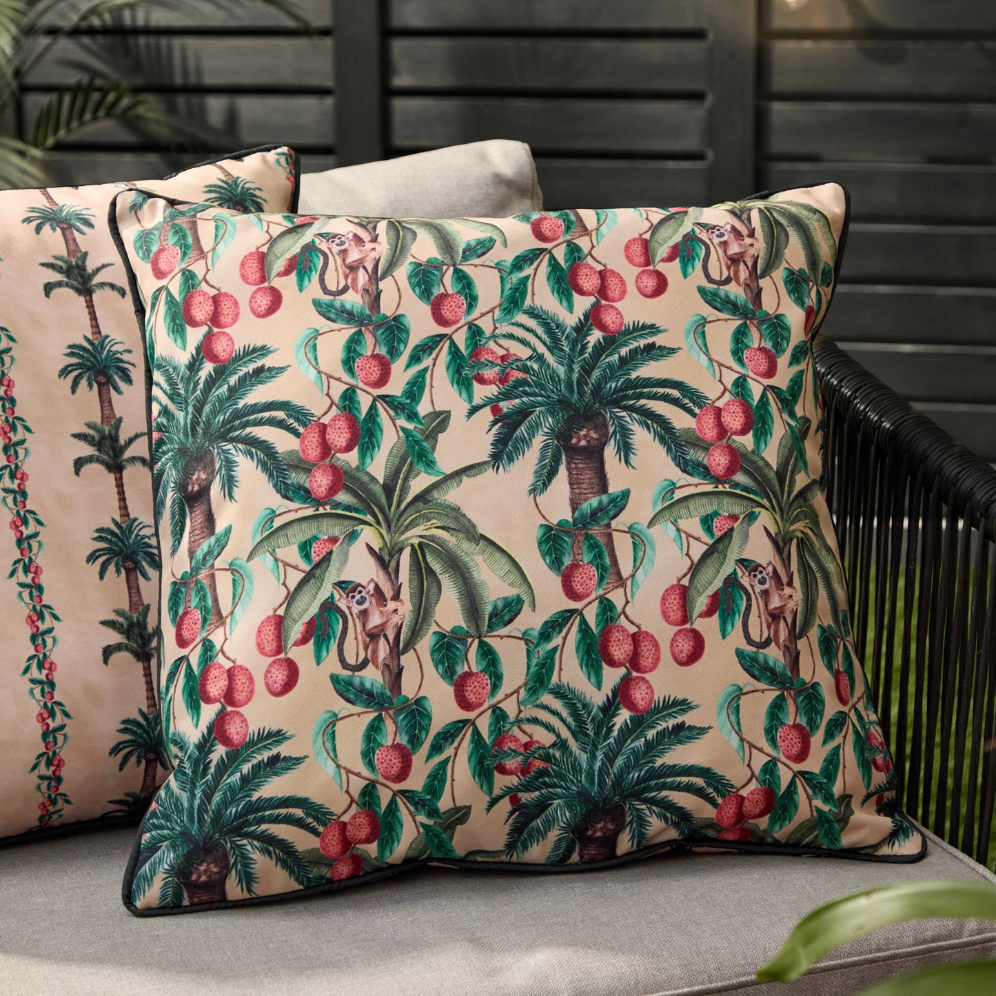 Monkey Palm Monkeys Outdoor Cushion Papyrus