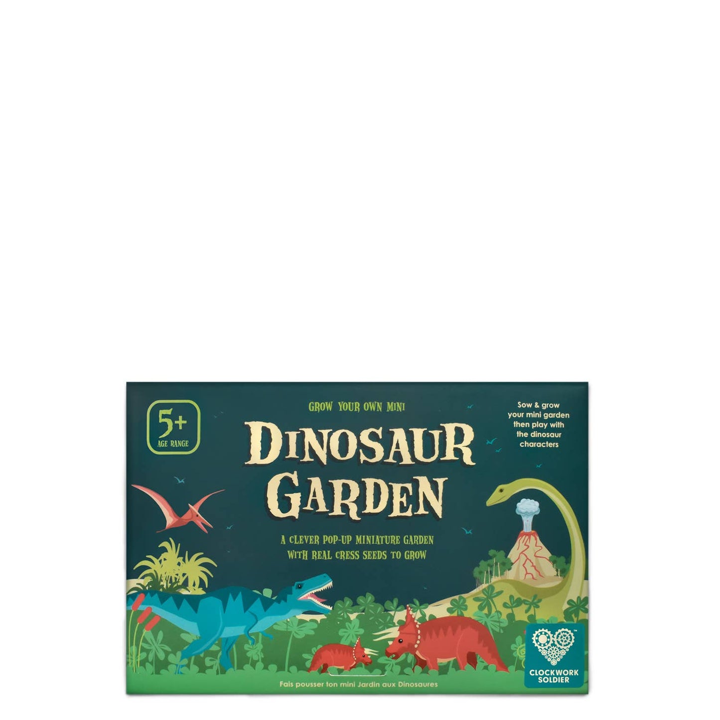 Mini Dinosaur Garden
