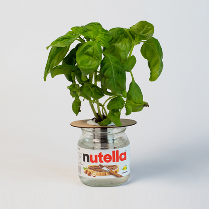 Bottle Farm Mini Kit - Indoor Hydroponic Herb Basil Grow Kit