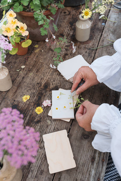 Pocket Flower Press - Forget Me Not