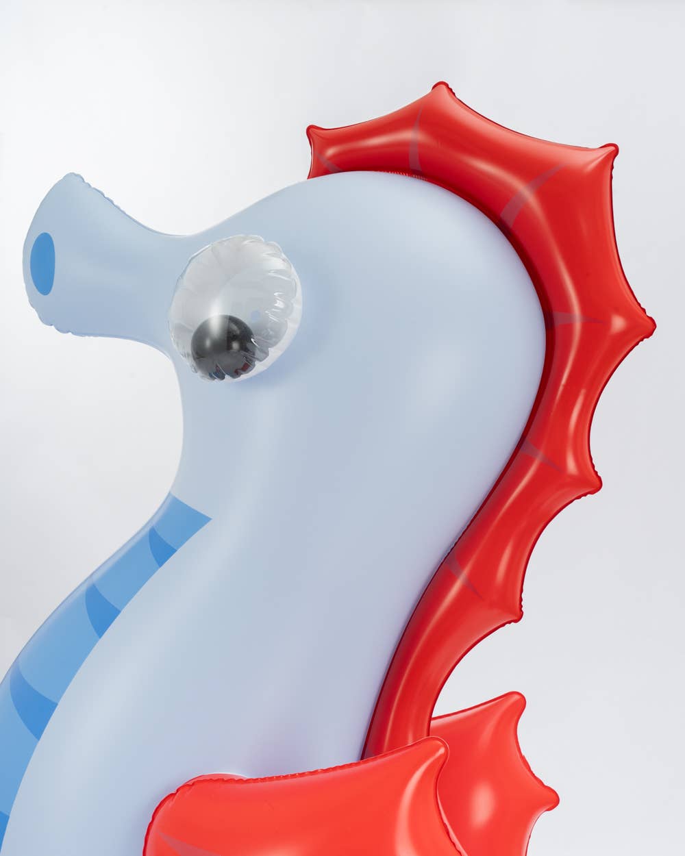 Children's seahorse float