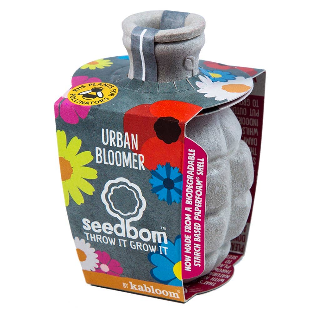 Urban Bloomer Seed Wildflowers for Insects