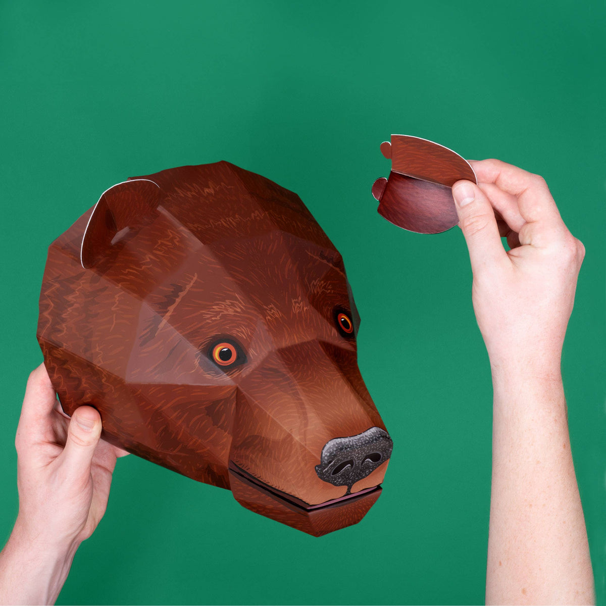 Create Your Own Brave Bear