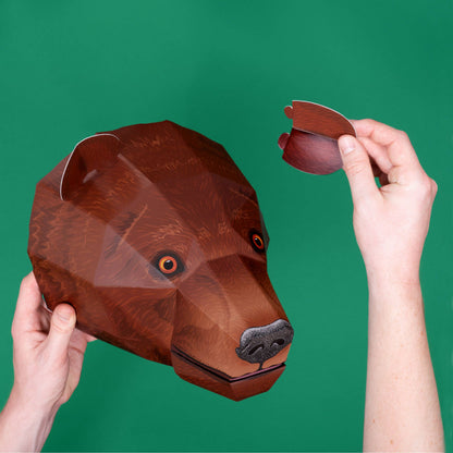 Create Your Own Brave Bear