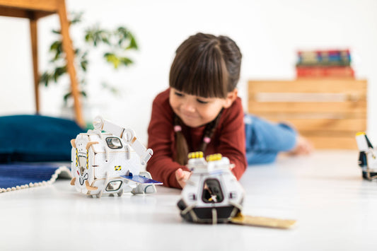 Space Station Playset