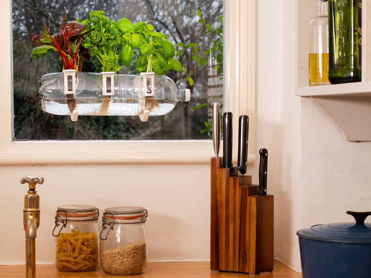 The Bottle Farm - Hydroponic Garden Grow Herbs & Vegetables