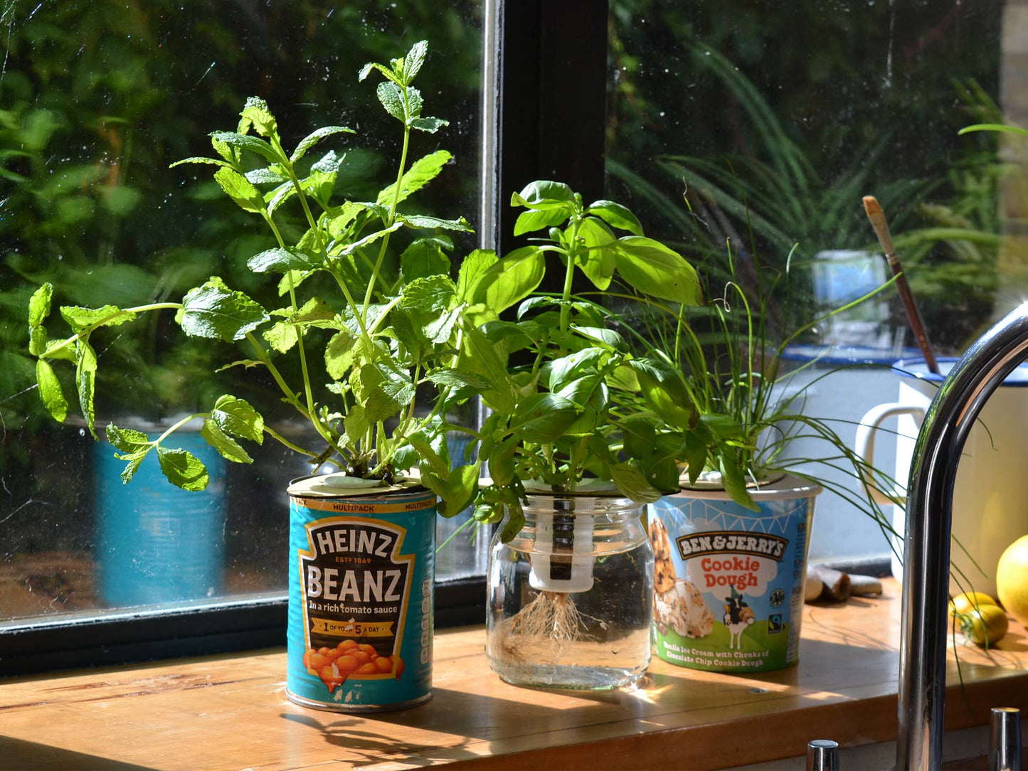 Bottle Farm Mini Kit - Indoor Hydroponic Herb Basil Grow Kit