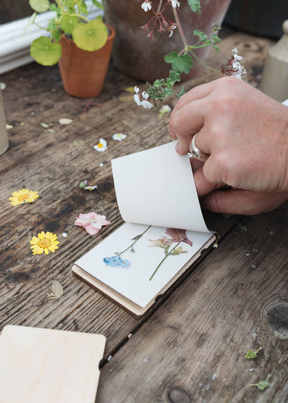 Pocket Flower Press - Forget Me Not