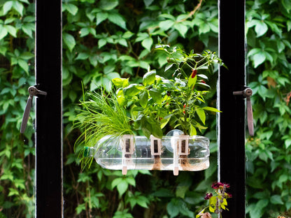 The Bottle Farm - Hydroponic Garden Grow Herbs & Vegetables