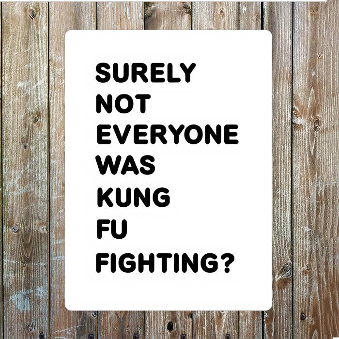 Surely Everyone not Kung Fu Fighting Metal Sign Plaque