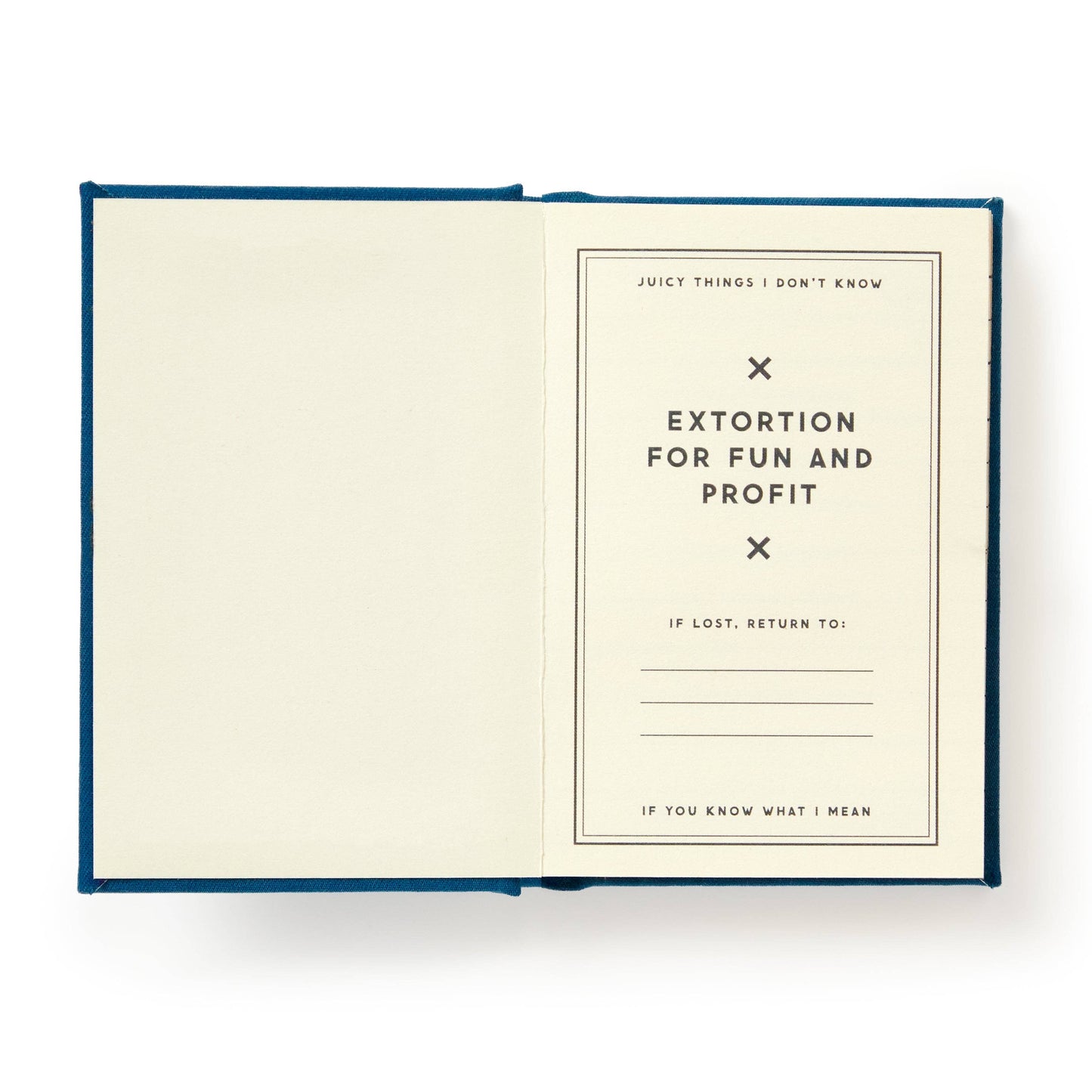 Future Blackmail Tiny Diary (Diary or Journal)