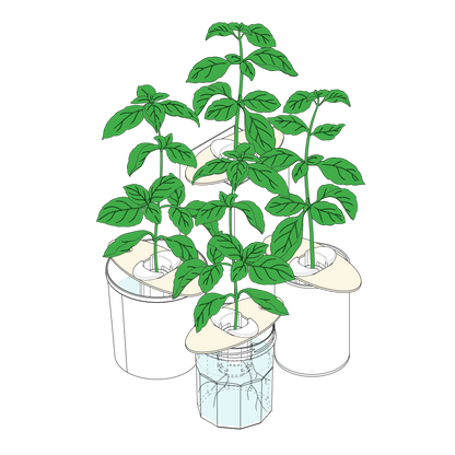 Bottle Farm Mini Kit - Indoor Hydroponic Herb Basil Grow Kit