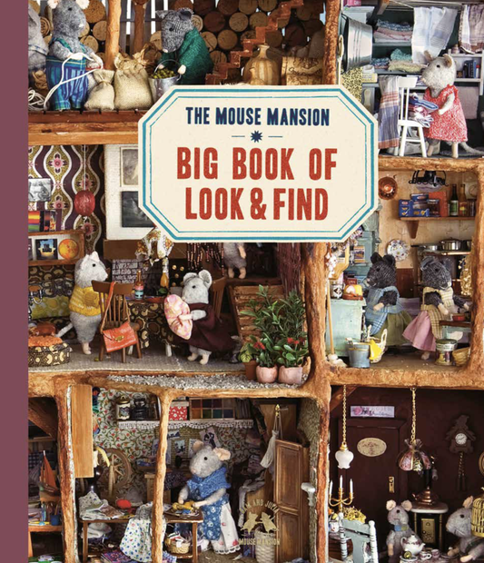Children's Book - Big Book of Look and Find (English)
