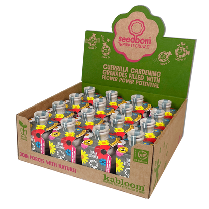 Urban Bloomer Seed Wildflowers for Insects