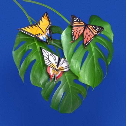 Origami Butterflies - Create and Display Kit