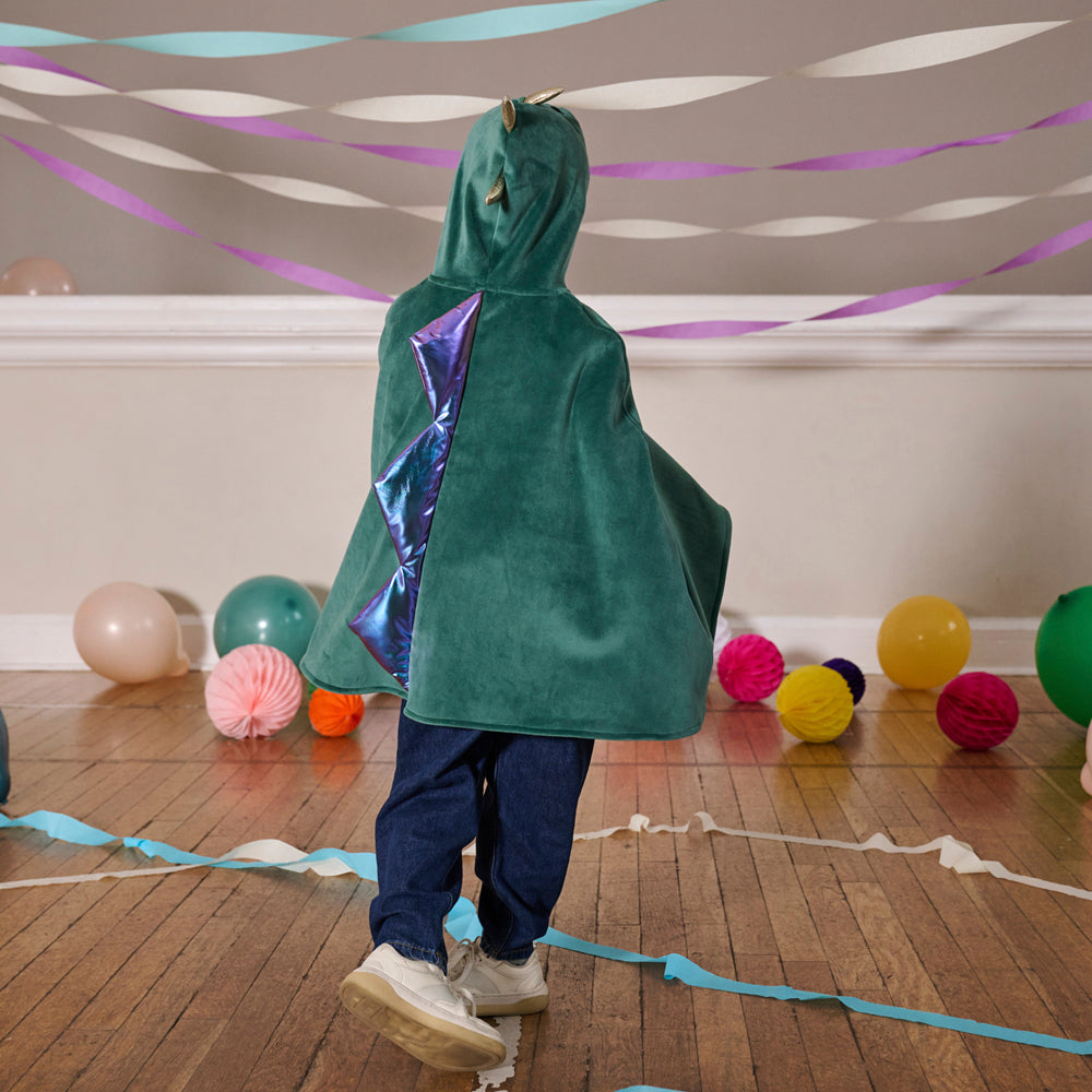 Dinosaur Dress Up Velvet Cape