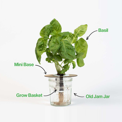 Bottle Farm Mini Kit - Indoor Hydroponic Herb Basil Grow Kit