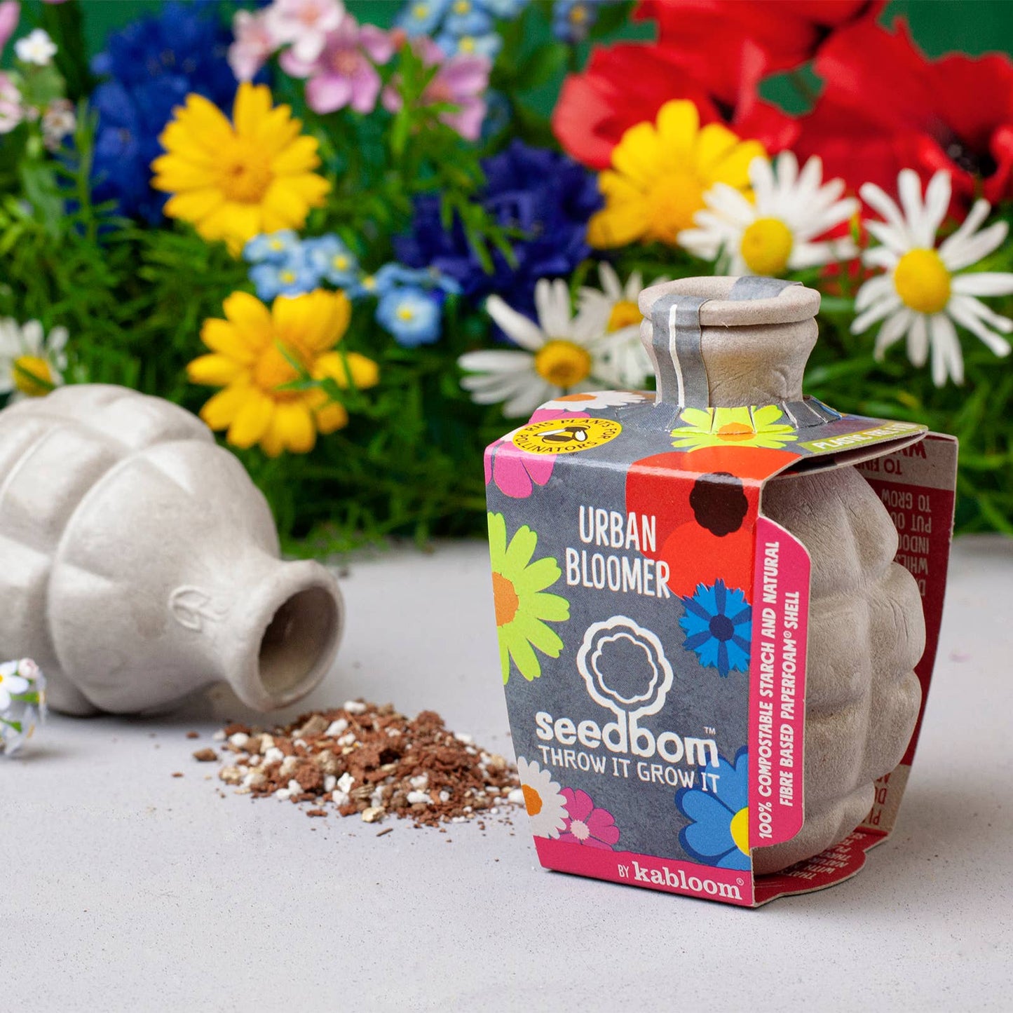 Urban Bloomer Seed Wildflowers for Insects