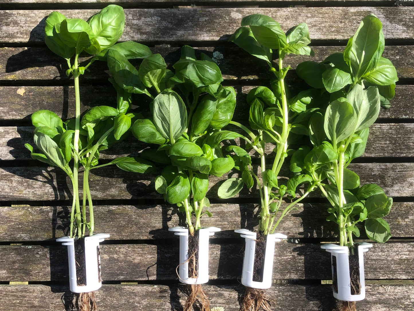 The Bottle Farm - Hydroponic Garden Grow Herbs & Vegetables
