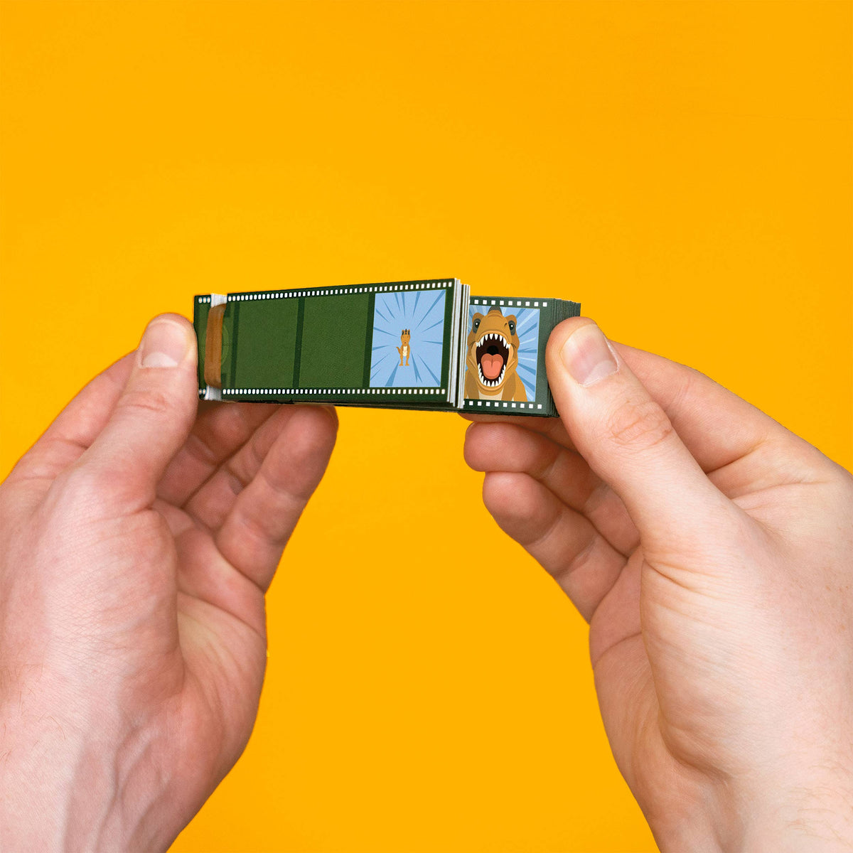 Dynamic Dinosaurs Flip Book Animation Kit