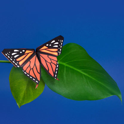 Origami Butterflies - Create and Display Kit