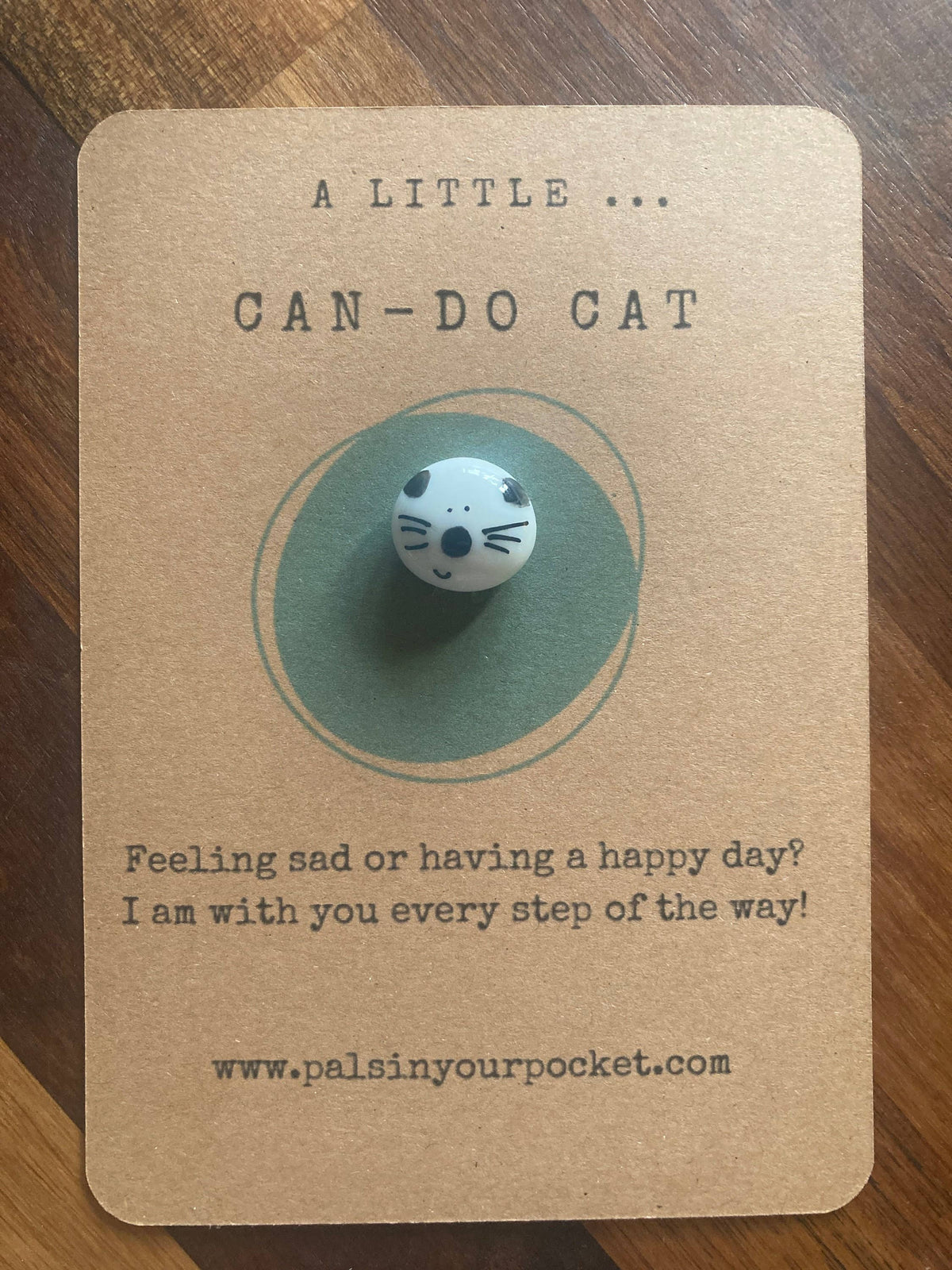 Positivity Reminder Pebble For Stress & Anxiety Relief. Cat