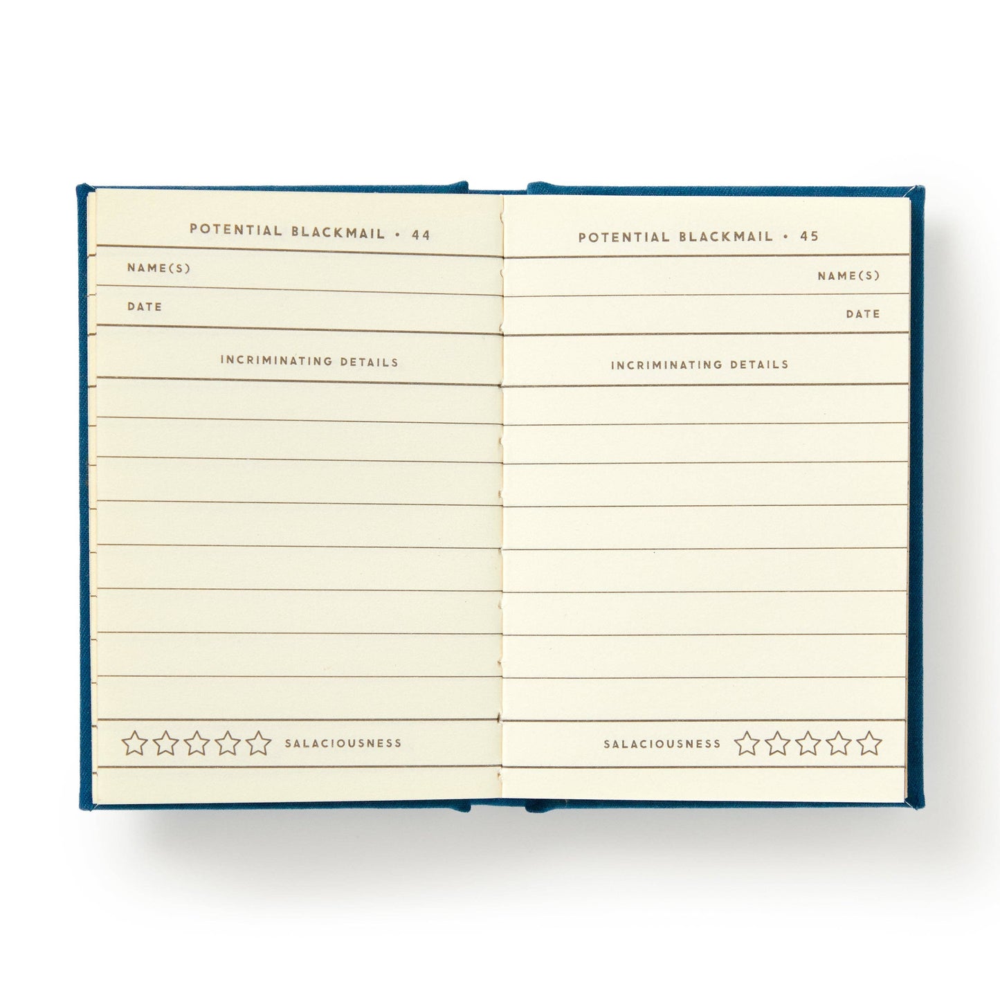 Future Blackmail Tiny Diary (Diary or Journal)