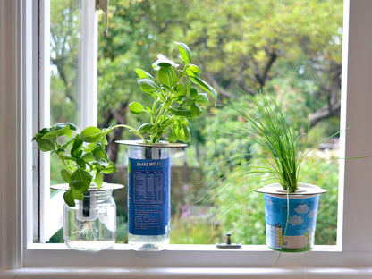 Bottle Farm Mini Kit - Indoor Hydroponic Herb Basil Grow Kit