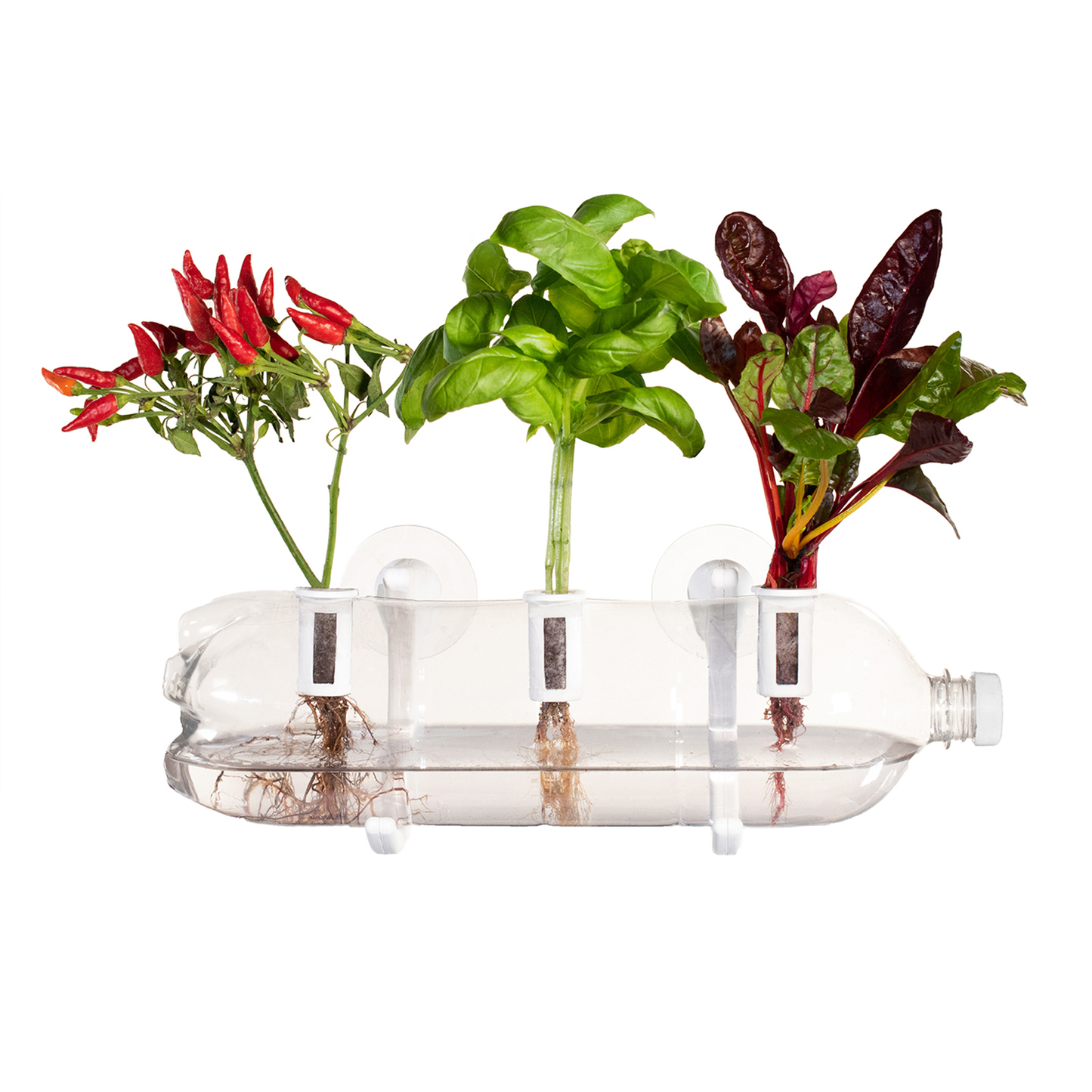 The Bottle Farm - Hydroponic Garden Grow Herbs & Vegetables