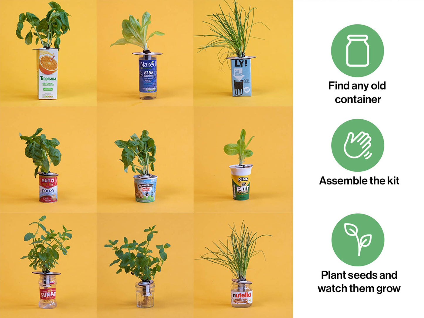 Bottle Farm Mini Kit - Indoor Hydroponic Herb Basil Grow Kit