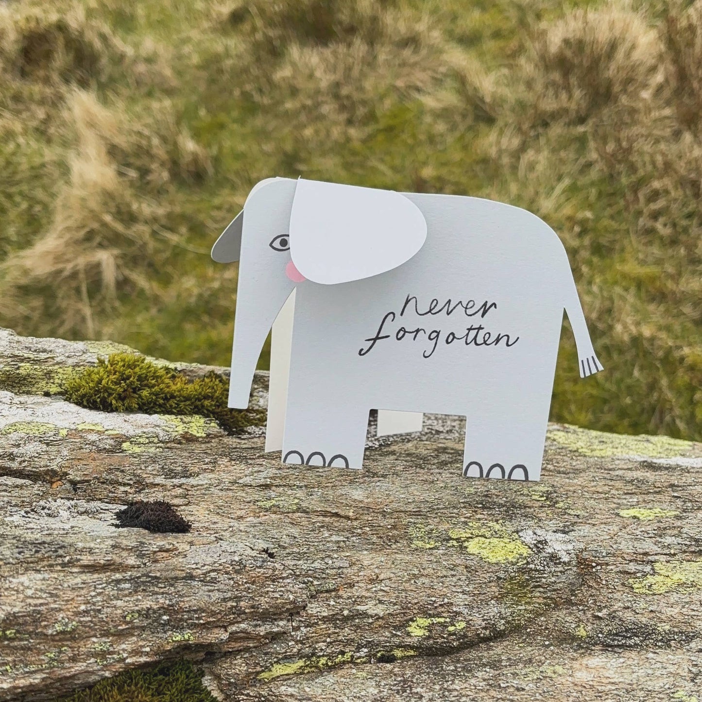Never Forgotten Elephant A6 Standing Luxury Eco Card