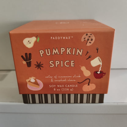 Pumpkin and Spice Bistro Soy wax candle