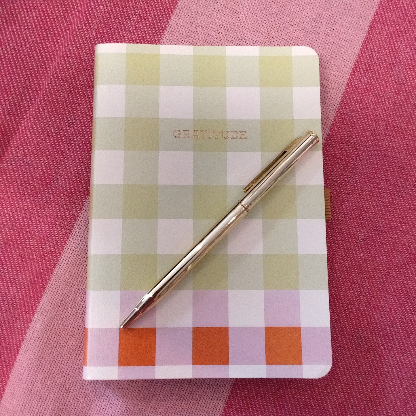Gratitude journal picnic