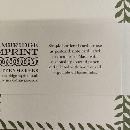 Pack 10 plain bordered Postcard. Colour Sage Green