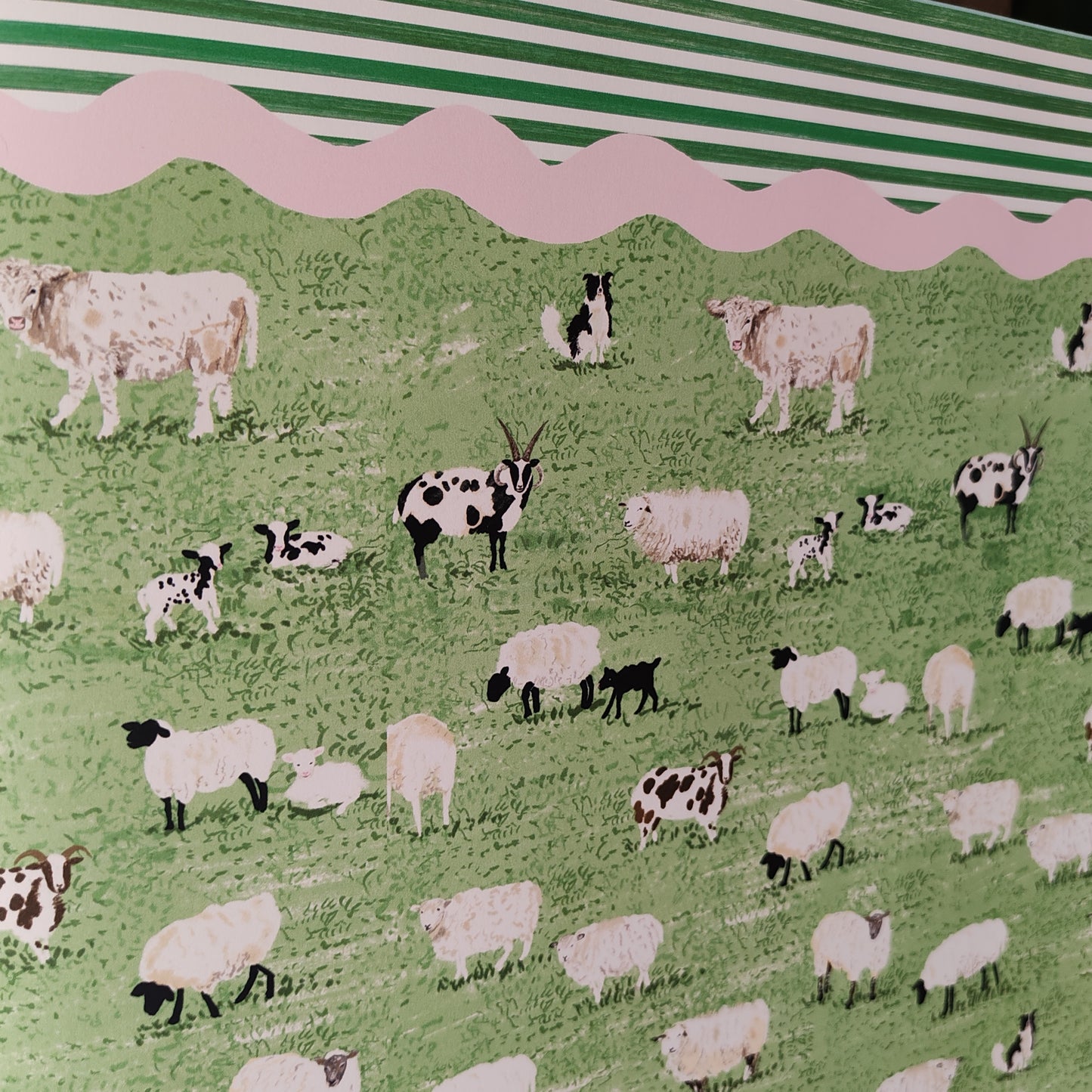Sheep gift wrap