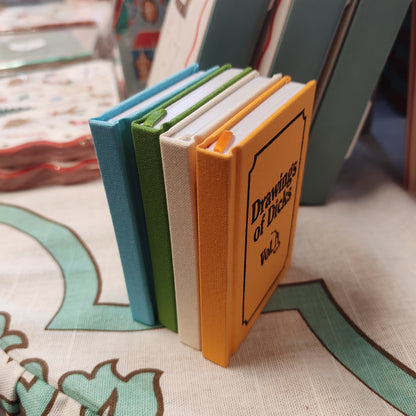 Diary of a little bitch mini notebook