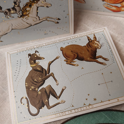 Astrology style gold foiled box Matches