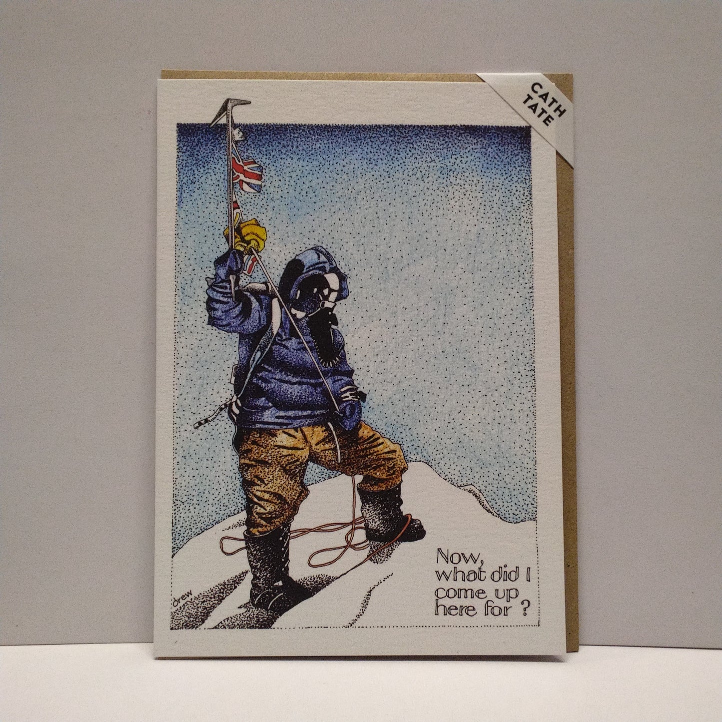Mount Everest - Now What Did I Climb Up Here For? Greeting Card