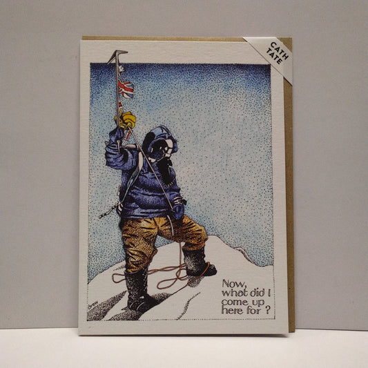 Mount Everest - Now What Did I Climb Up Here For? Greeting Card