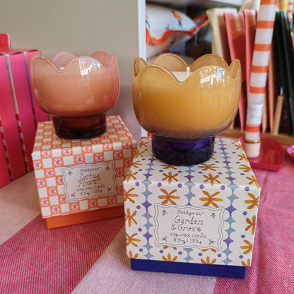 Paddywax Garden & Grove Soy Wax Candle 5.5 oz